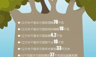 植树节的来历和意义30字 植树节的由来30字